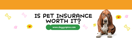 Is Pet Insurance Worth It? Pros and Cons for Pet Owners in 2024