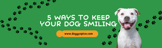 5 Ways To Keep Your Dog Smiling For World Smile Day