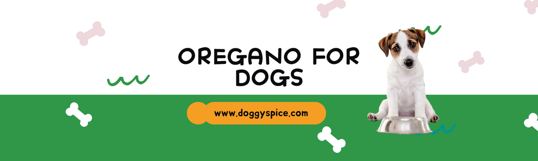 The Surprising Benefits of Oregano for Dogs