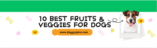 10 Best Fruits and Vegetables For Dogs