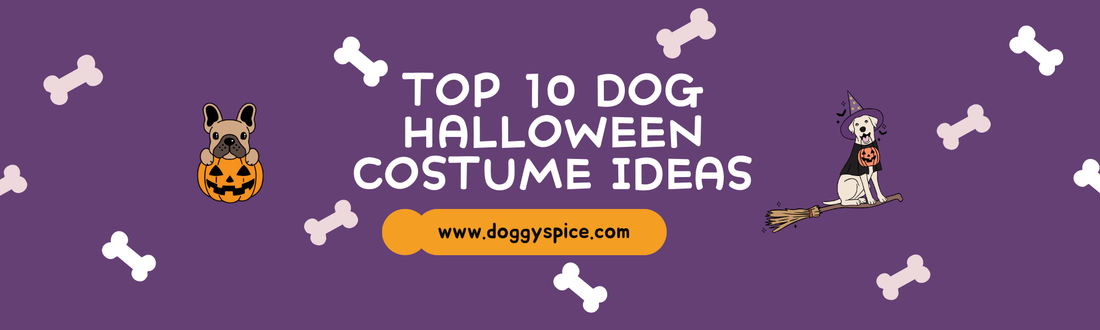 Top 10 Dog Halloween Costume Ideas for 2024 🎃🐾