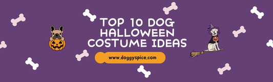 Top 10 Dog Halloween Costume Ideas for 2024 🎃🐾