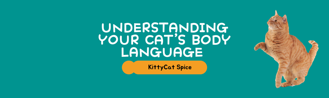 Understanding Your Cat’s Body Language